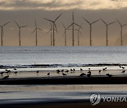 美공화 압박에 '탈탄소 보험 동맹' 흔들…회원사 잇단 탈퇴