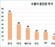 대구 기업 21.3% "코로나19 전후 수출 중단 품목 있다"