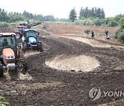 메밀밭 갈아엎는 제주 농민들