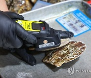 '일본산 가리비 방사능 수치는'