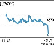 “한동훈 테마주라더니”…노을 유상증자에 개미 허탈