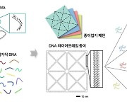 서울대 연구팀, '종이접기 원리' 착안…DNA 나노기술 개발