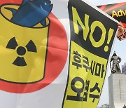 '일본 핵 오염수 방류, IAEA가 무슨자격으로 동조하나'