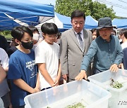 청주 상당산성 자연마당 습지에 멸종위기 2급 물장군 방사