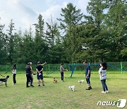 산림청, 산음자연휴양림 등 4곳서 반려견 동반 허용