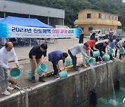 전남해양수산과학원, 진도서 어린 꽃게 75만 마리 방류