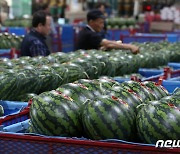 울진 35.2도…대구·경북 폭염주의보 모두 해제