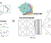 DNA를 종이처럼 접어 나노 로봇 만든다