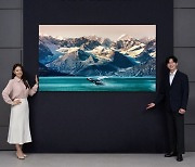 OLED 주력으로?…삼성 TV 전략 바뀌나