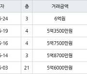 수원 정자동 수원SK스카이뷰 59㎡ 6억원에 거래