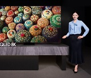 LCD에 더 집중해왔는데…삼성 OLED TV 포지셔닝은?