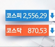 코스피, 관망세 작용하며 하락‥2556선 마감