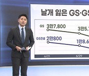 골칫덩어리 계열사에 주가 속수무책…지주사 난감 [마켓플러스]