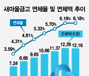 행안부 '뒷북'에 새마을금고 불안 키워…금융당국 감시 필요성 제기