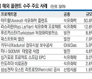 상반기 플랜트 수주 552%↑… ‘新 중동붐’ 거세다