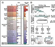 바이러스에서 찾은 'RNA 안정화 서열'로 바이러스 퇴치