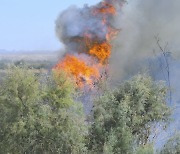 Arizona Wildfire