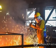 "中 기업들, '전기차 필수' 니켈 최대보유 인도네시아 장악"