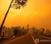 세계 평균기온 사흘째 역대 최고치…"엘니뇨 영향"(종합)