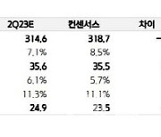 대웅제약, 2분기 실적 호조…상위 제약사 밸류 하락으로 목표가↓-키움