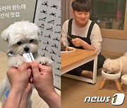 "반려견 위해 요리…생일엔 미역국 먹는다"[더리얼 가족이야기]⑤