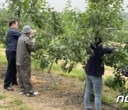 충북 보은군서 농사 돕던 베트남 계절근로자 7명 또 무단이탈