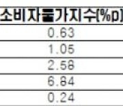 "최저임금 1만2210원이면 GDP 1.33% 감소…차등화해야"