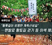 [하루만보] "황톳길이 유명한 계족산성길"…맨발로 황토길 걷기 등 이색 체험