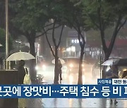 대전·세종·충남 곳곳에 장맛비…주택 침수 등 비 피해