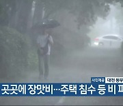 대전·세종·충남 곳곳에 장맛비…주택 침수 등 비 피해