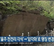 울산시, ‘울주 천전리 각석’→‘암각화’로 명칭 변경 논의