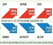 '金추' 된 상추…1주일새 가격 두 배로 껑충