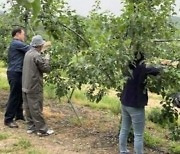 충북 보은서 또…베트남 계절근로자 7명 종적 감췄다