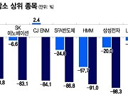 하반기 반등? 대장주도 힘 못 썼다…역성장 기업 '투자 주의보'