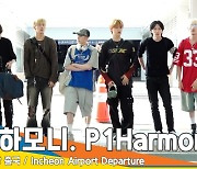 피원하모니(P1Harmony), 피스들 만나러 미국으로 가요~(출국)[뉴스엔TV]