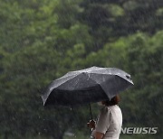 '소서'에 울산 강하고 많은 비 내린다…최고 100㎜