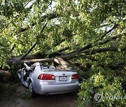 St. Louis-Storm Response