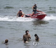 Shark Patrols New York