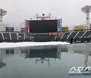 우중 훈련 나선 롯데 선수단, 그라운드 상태 점검 뒤 결정은 '일단 대기'…엘롯라시코 극적 성사?[부산 현장]