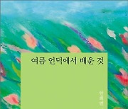 [요즘 서점가] ‘여름’ 키워드 문학 베스트셀러 상위권에