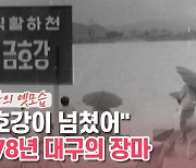 [백투더투데이] "금호강이 넘쳤어" 1978년 대구의 장마