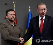 TURKEY UKRAINE DIPLOMACY