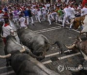 Spain Running of the Bull