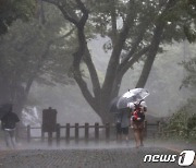 세찬 빗줄기를 뚫고