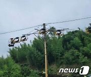 진주 월아산 에코라이더 20m 높이에서 멈춰서…탑승객 6명 1시간만에 구조