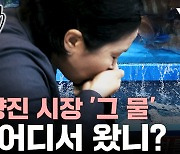 국민의힘 의원이 마신 노량진 수조물은 어떻게 왔을까? [와이즈픽]