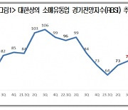 소매유통업 체감경기지수  2분기 연속 상승…소비회복 '아직'