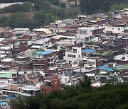 100채 이상 전세 놓고 보증보험 가입한 집주인 35명… 전세금 1조원 육박