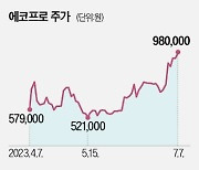 에코프로·포스코퓨처엠 질주…2차전지 ETF도 인기