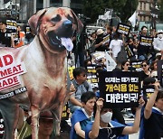 초복 앞두고 개 식용 찬반 논쟁… "불법도살 처벌" vs "생존권 문제"